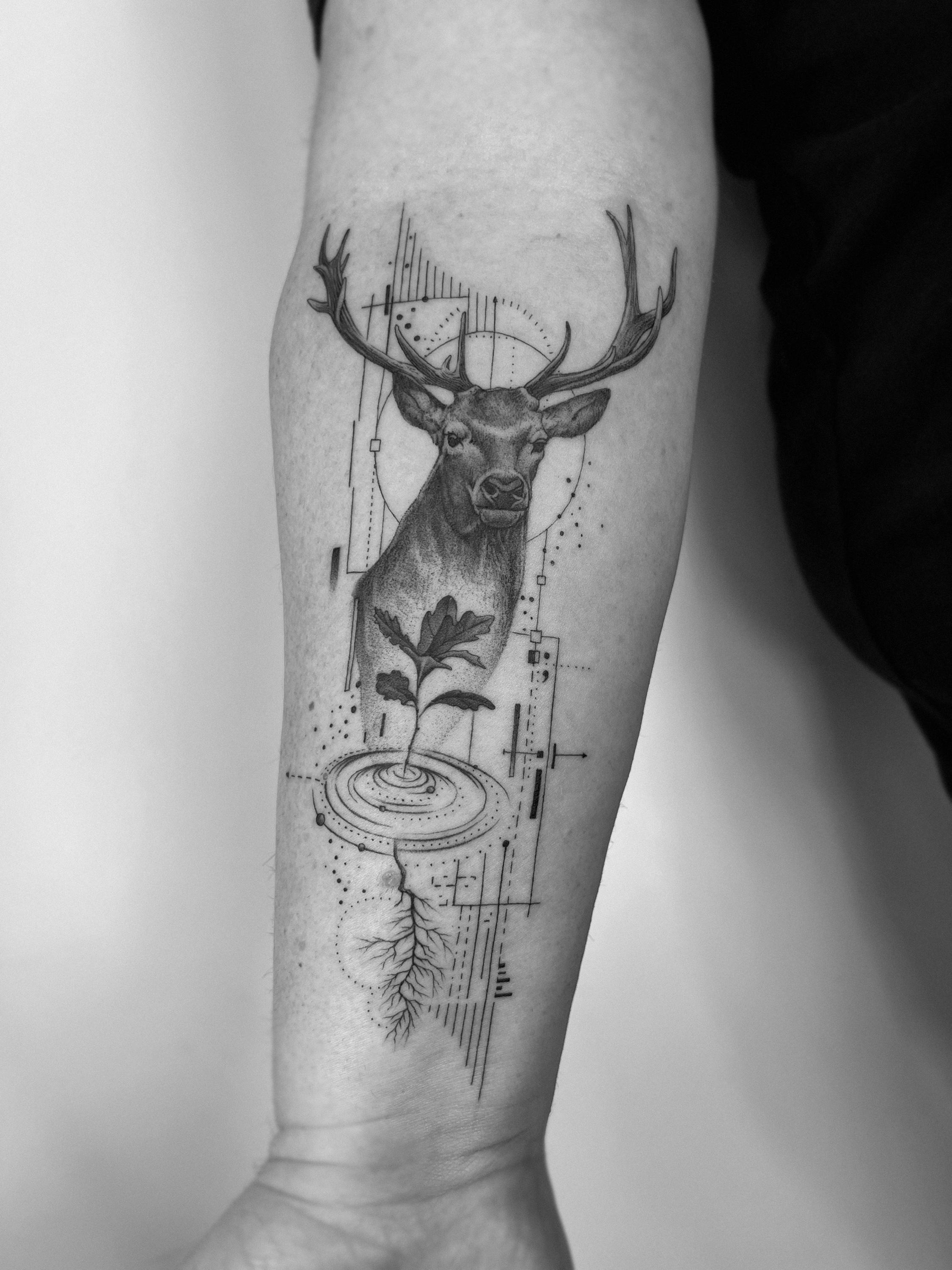 Black and grey realism deer tattoo on the forearm